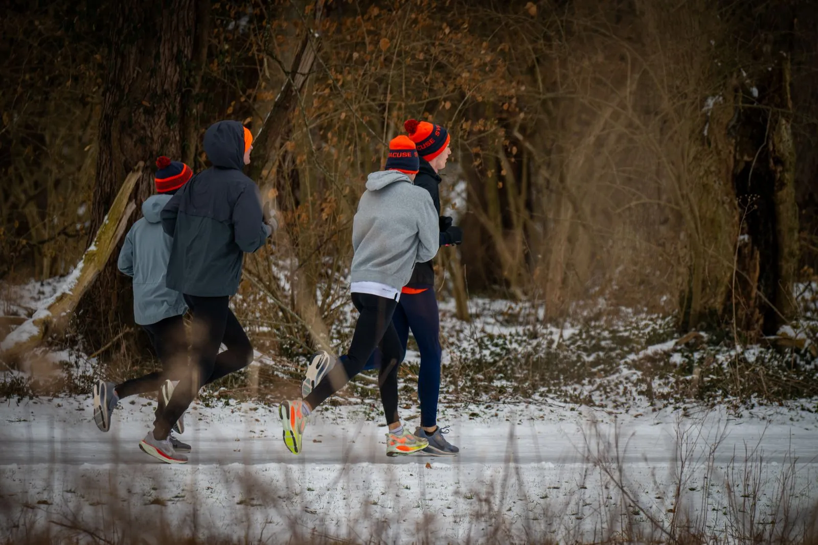 Groupe de coureurs s'entraînant ensemble dans une forêt enneigée
