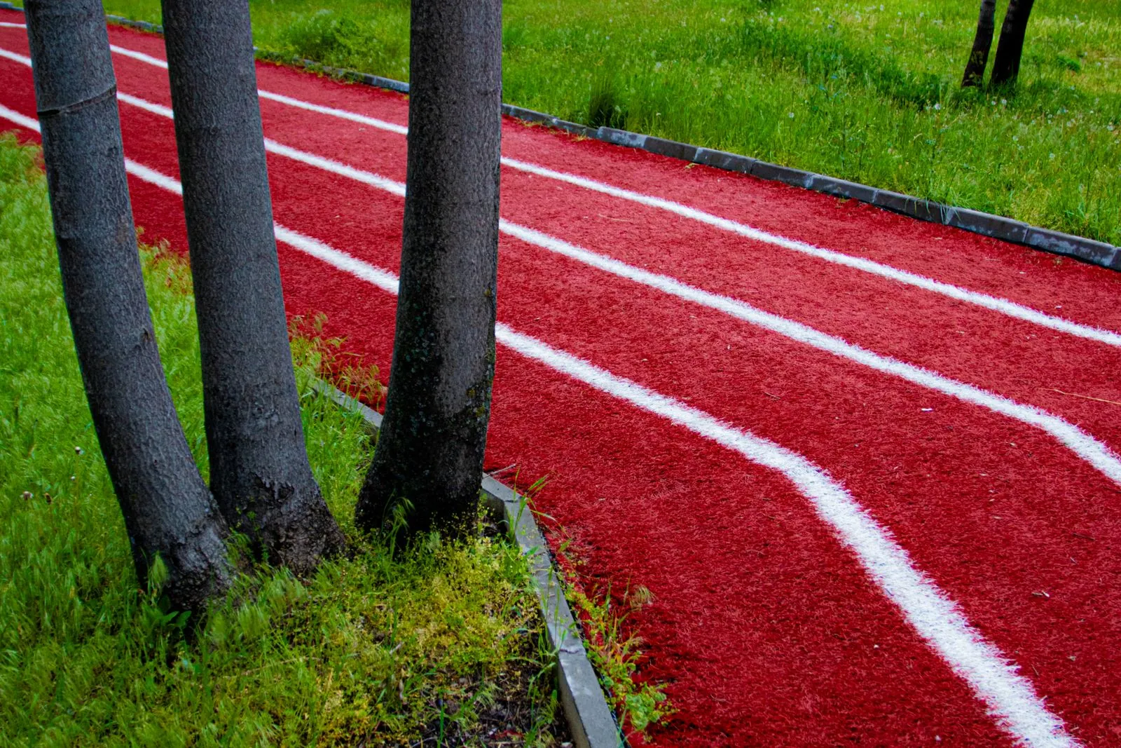 Piste d'athlétisme rouge bordée d'arbres